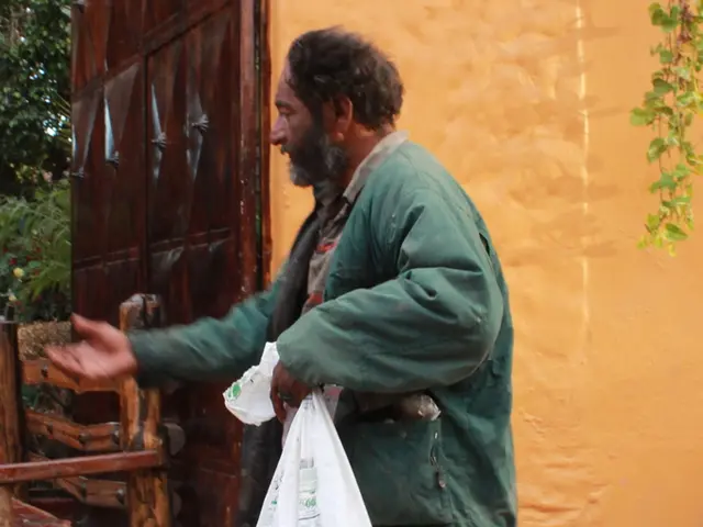 Exploring the Gameplay of Clover Supreme Slot, a Winning Frenzy Pilot