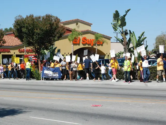 Streamlined User Experience: Backed by Data