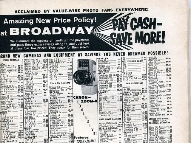 Diversity-focused Majority Organization Kicks Off Operations, Boosted by Support from Basketball...